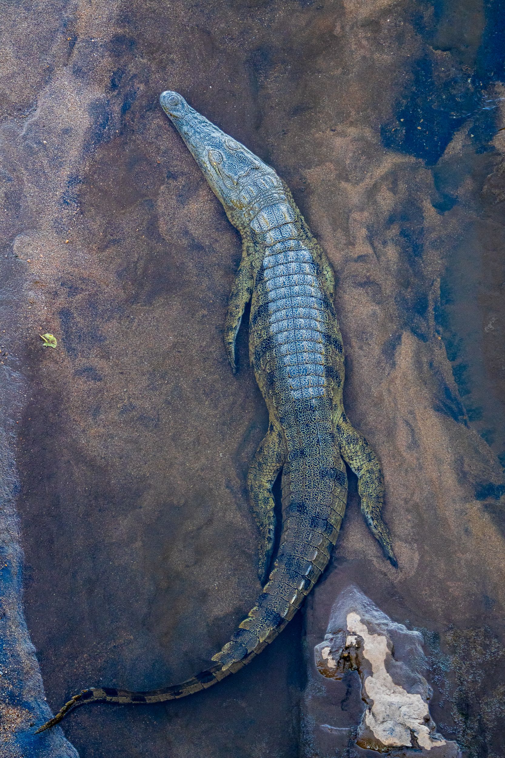 20231005 133041 Fotobuch Südafrika 02078
